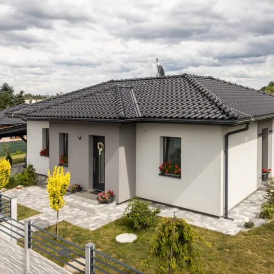 Facade plaster